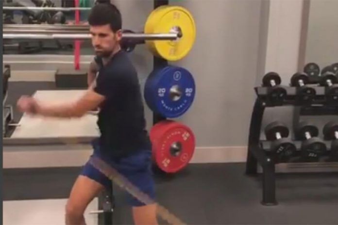 novak (1)