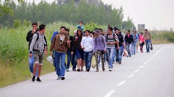imigranti-1