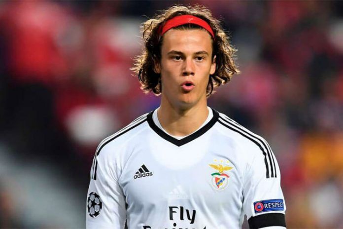 svilar