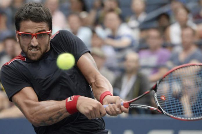tipsarevic
