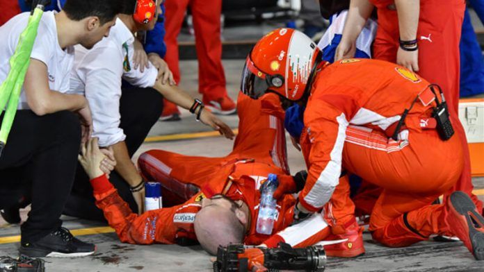 kimi