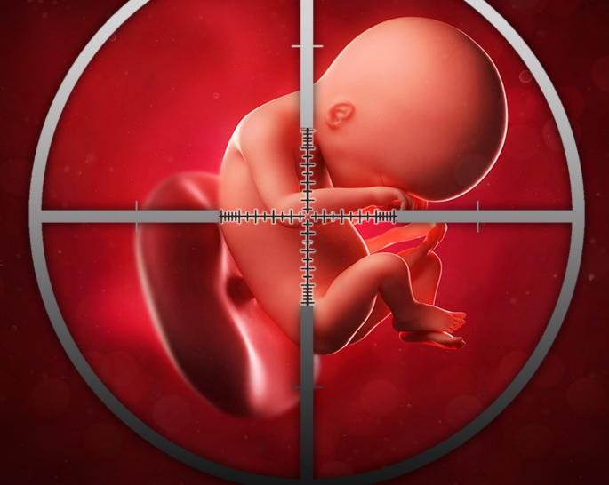 abortus01