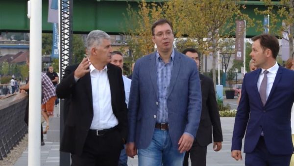 covic vucic