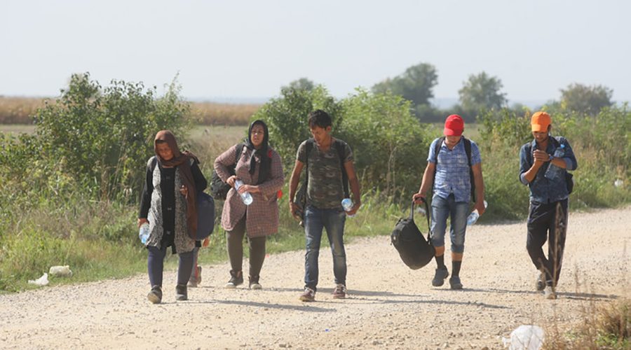 Migranti-1-900x500