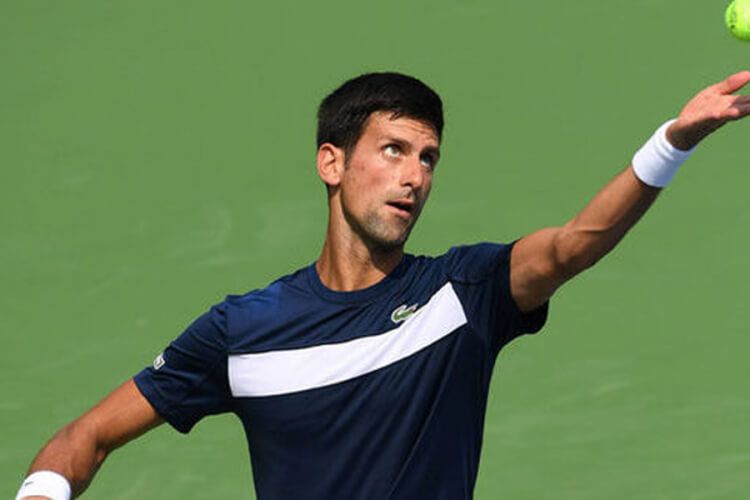 novak basic