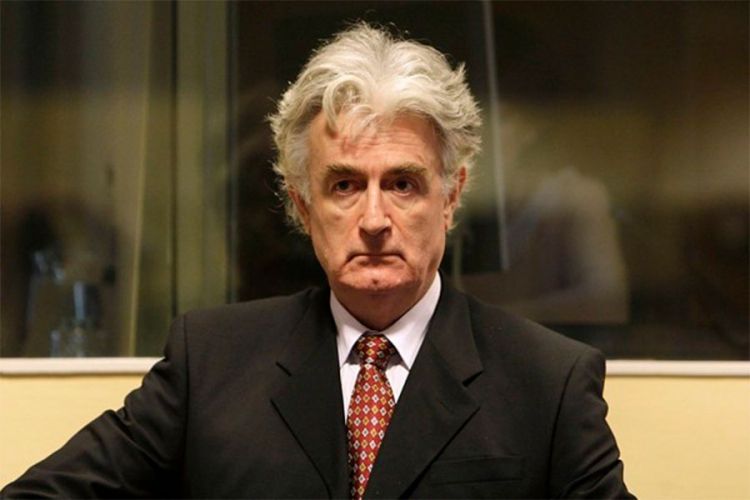 karadyic