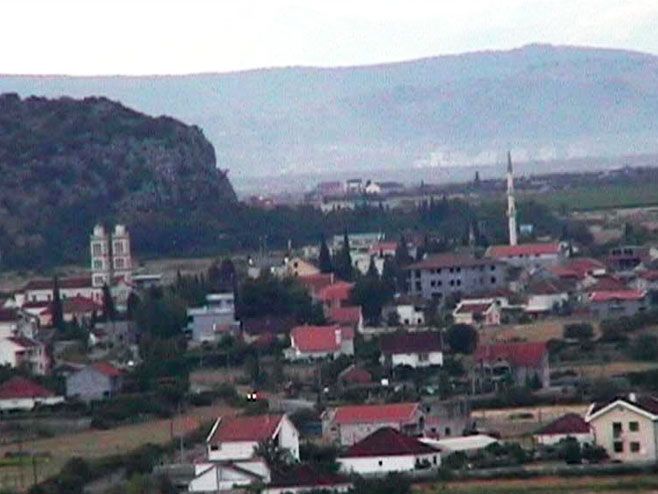 tuzi