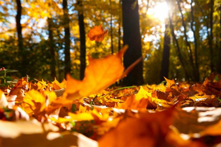 20181113072240_507754