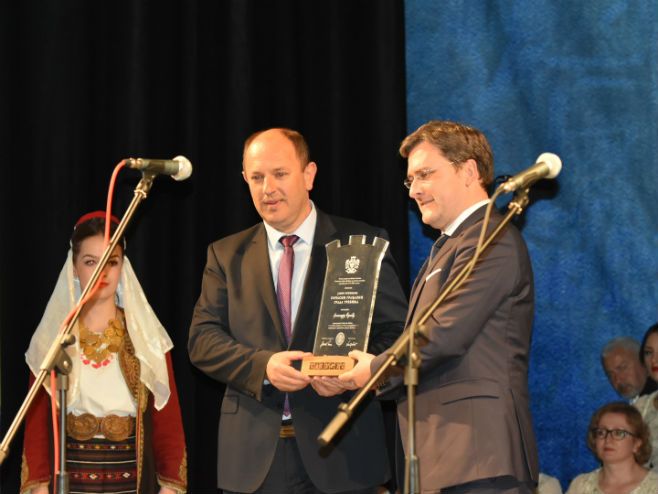 petrovic selakovic