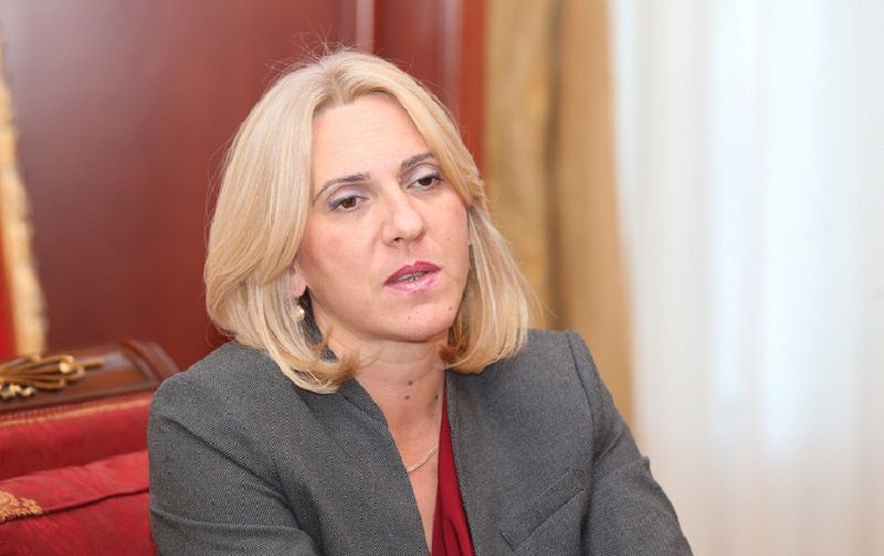 zeljka-cvijanovic (2)