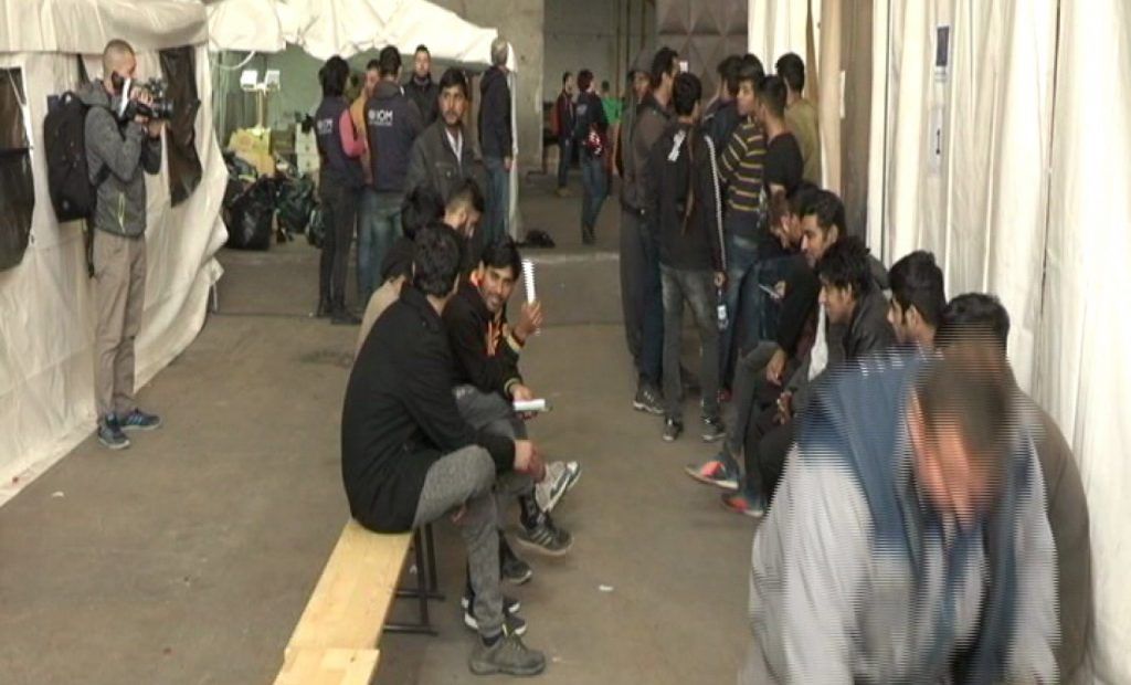 migrant.png