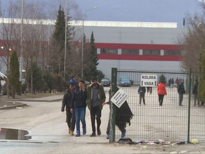 migranti