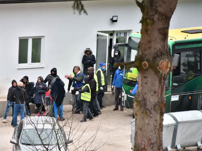 migranti
