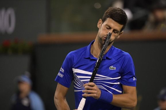 novak 1