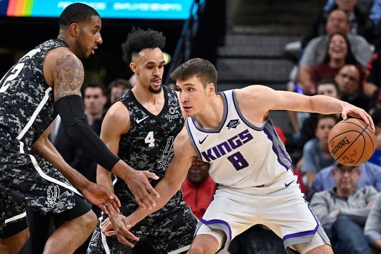 bogdanovic bjelica