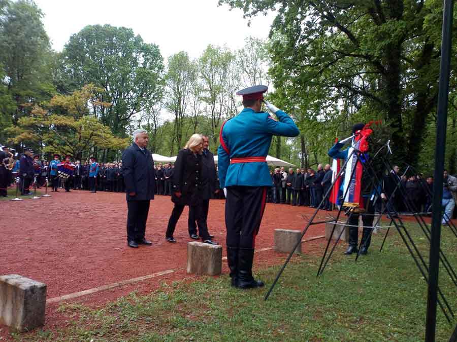 zeljka donja gradina