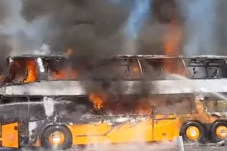 bus