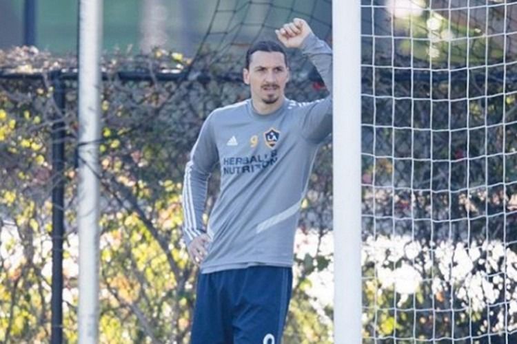 ibrahimovic