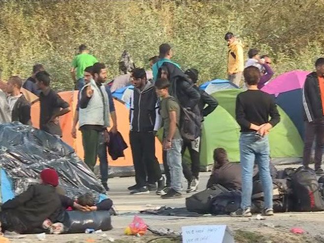 migranti