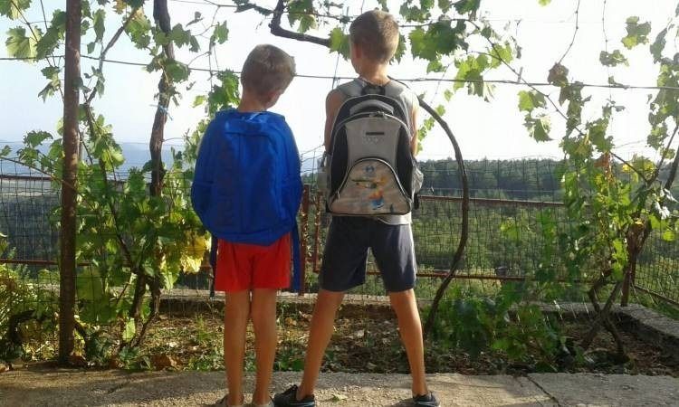 braca skola