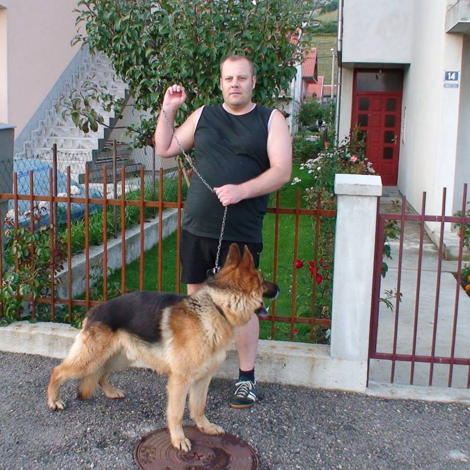 danel rajkovic