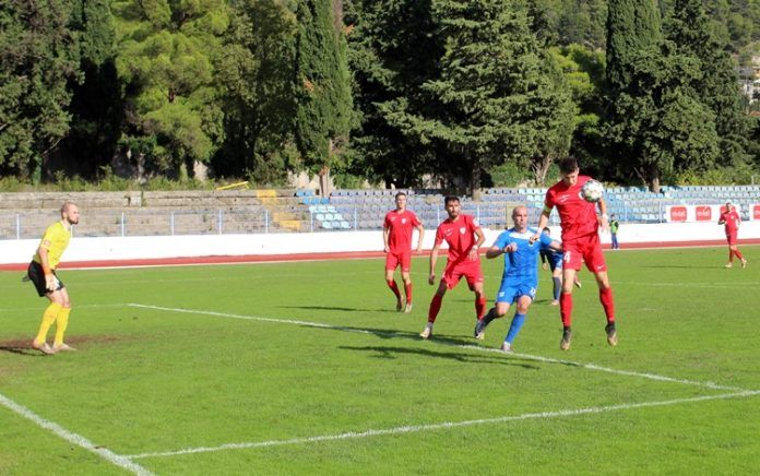 leotar