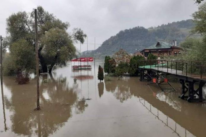 poplave