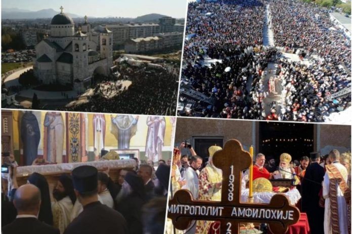 2366891_collage_ls