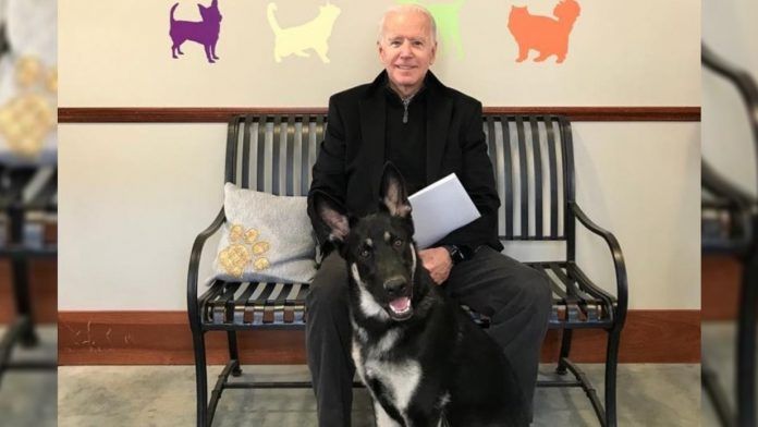 7752635_JoeBidenAndMajor