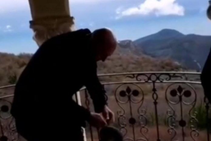 marko-carevic_ls