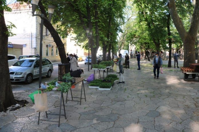 trznica trebinje