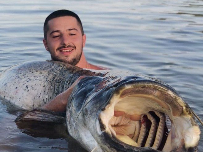 bilecanin som