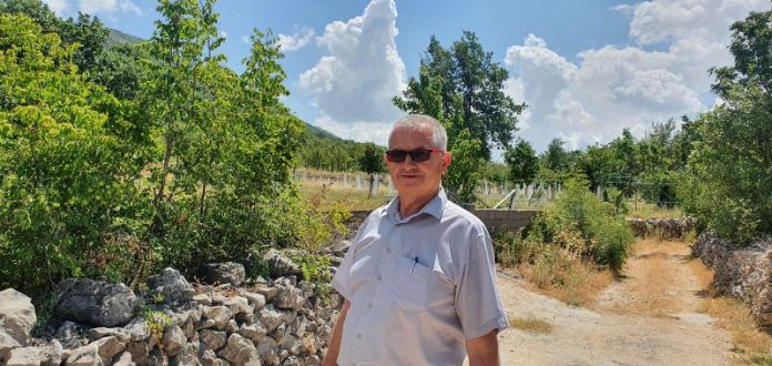 IVO RAGUZ