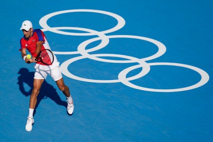 novak1