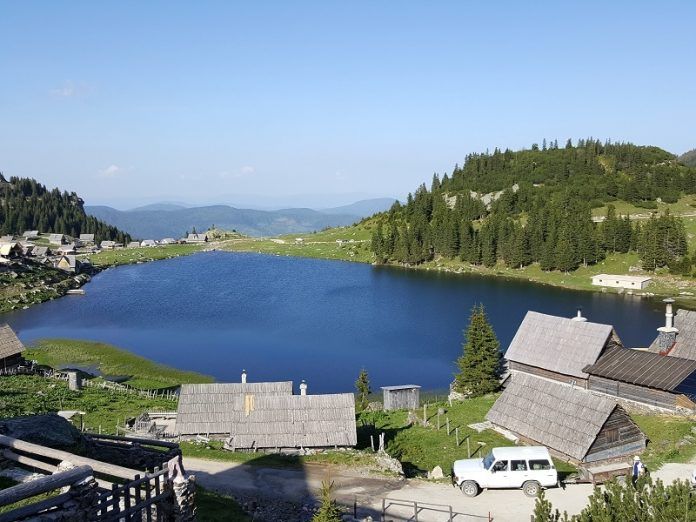 prokosko