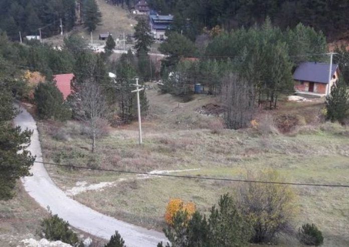 rujiste-1