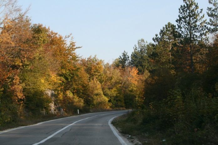 grebak