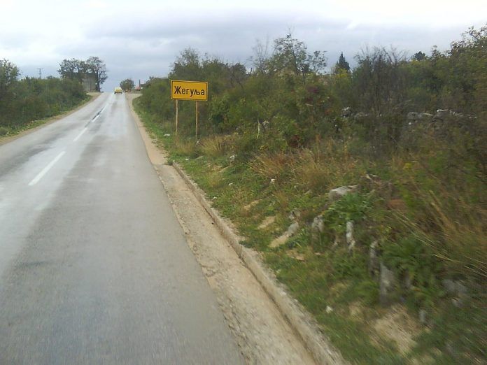 zegulja