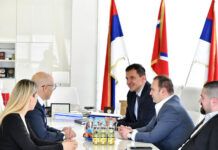 Ćosić-Vučević: Dogovorena saradnja iz oblasti kulture, turizma i privrede
