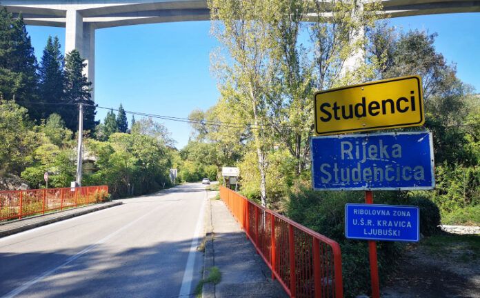 studenci