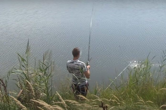 pecanje-Tamiš-872x581