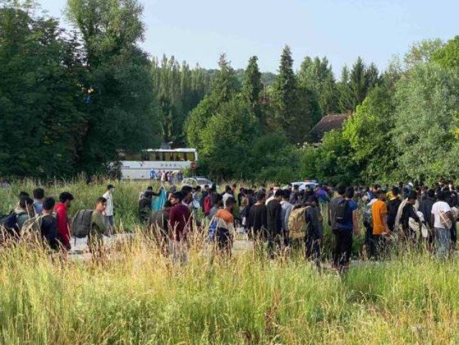 migranti