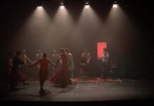 HNK MOSTAR: Uskoro premijera predstave ”Noć s Aleksom”