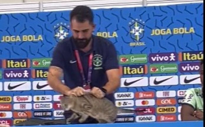 macka brazil