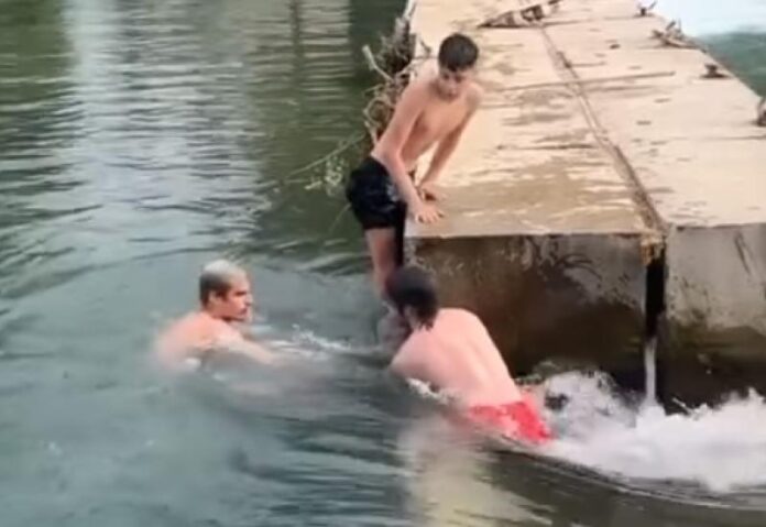 bunica