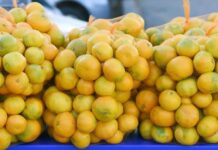 U mandarinama iz Hrvatske otkriven pesticid opasan za djecu