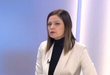 Pajić Baštinac: Srpska nije secesionistički nastrojena, želi samo poštivanje dejtonskih principa