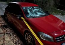 Ministar tvrdi: Pretučena četiri mladića u Stocu dok su se vraćali sa utakmice