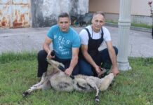 Muftija mostarski prisustvovao klanju kurbana ispred Karađoz-begove medrese