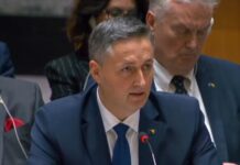 BEĆIROVIĆ U UN-u IZNIO NIZ NEOSNOVANIH OPTUŽBI NA SRPSKU I SRBIJU